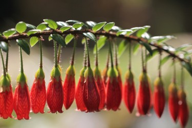 深圳坪山区私人快速借钱网，轻松解决资金难题