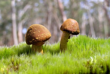 深圳坪山区私人老板放款：轻松融资的秘密通道